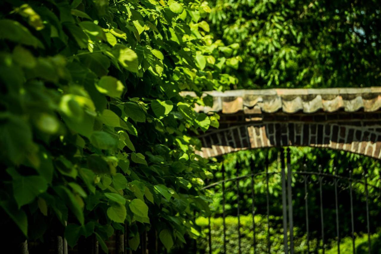 A Casa Nostra - Huiselijk En Gezellig Overnachten - Exclusief Ontbijt Well  Esterno foto